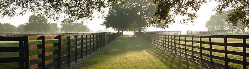 Ocala Florida fence and path at sunrise