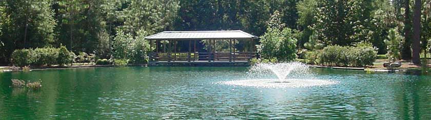 Pond at Shalom Park in Ocala Florida
