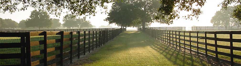 Fence at sunrise in Ocala, Florida